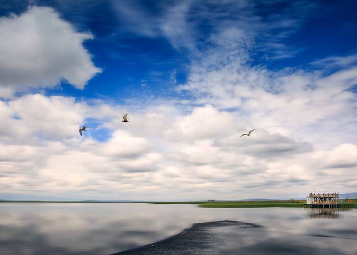 成都租大巴车包车价格全解析，从避*指南到省钱妙招，看这篇就够了！-第1张图片-成都租车公司